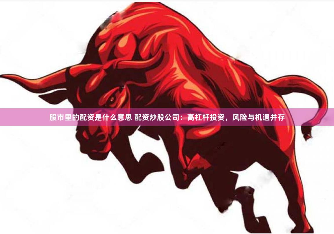 股市里的配资是什么意思 配资炒股公司：高杠杆投资，风险与机遇并存