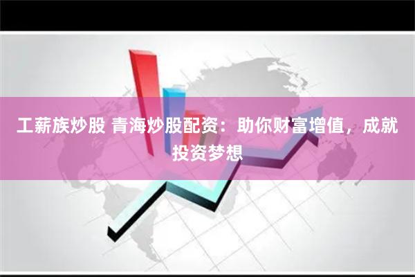 工薪族炒股 青海炒股配资：助你财富增值，成就投资梦想