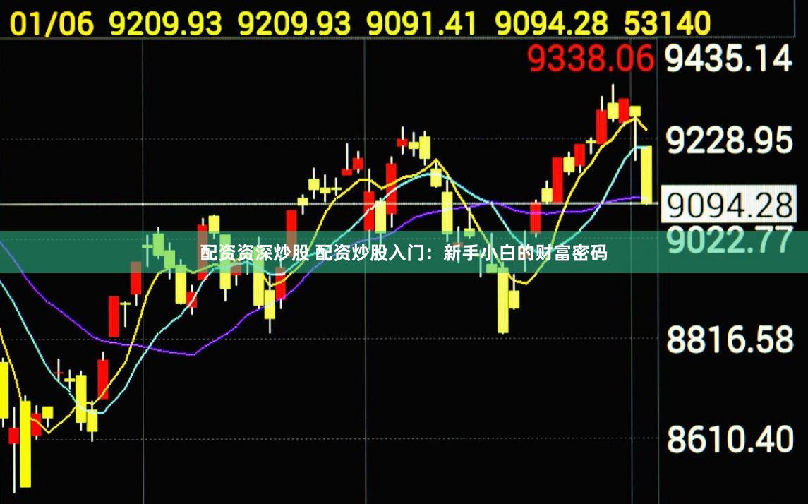 配资资深炒股 配资炒股入门：新手小白的财富密码