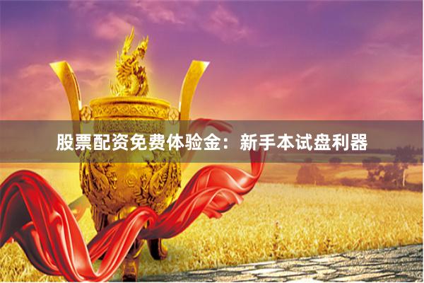 股票配资免费体验金：新手本试盘利器