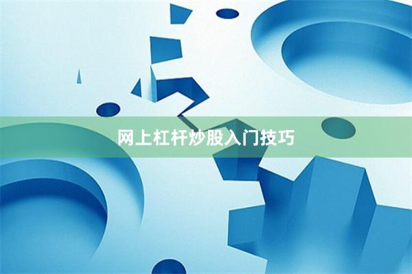 网上杠杆炒股入门技巧